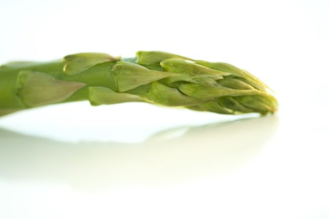 A spear of asparagus.