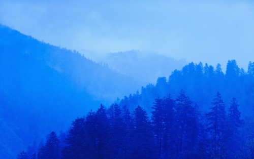 Mountain landscape with trees.
