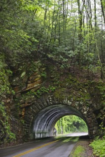 A scenic and empty road with tunnel.