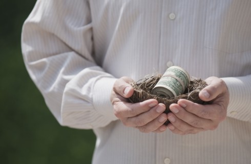 Hands holding a nest with money in it.