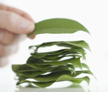 A hand stacking leaves.