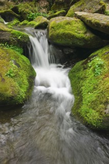 Flowing creek.