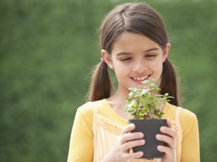 A young girl holding a plant.