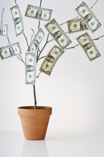 Money growing in a pot.