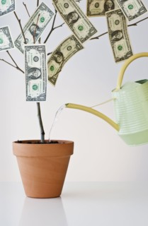 Money growing in a pot.