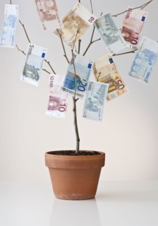 Money growing in a pot.