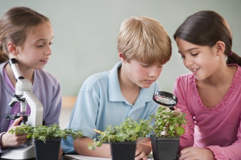 Students in a classroom.