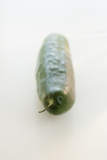 Concombre