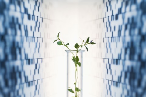 Vase against medical background.