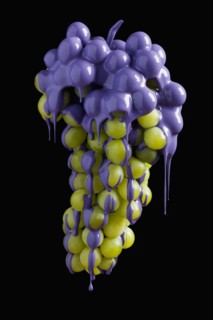 Grapes dripping with color