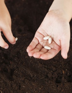 Child holding seeds