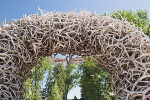 Jackson Hole.