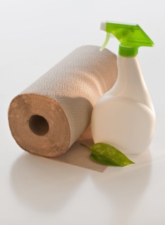 Paper towels and cleaner.