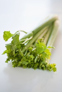 Celery.