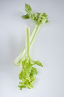 Celery.