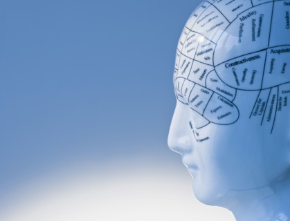 Model of human brain.