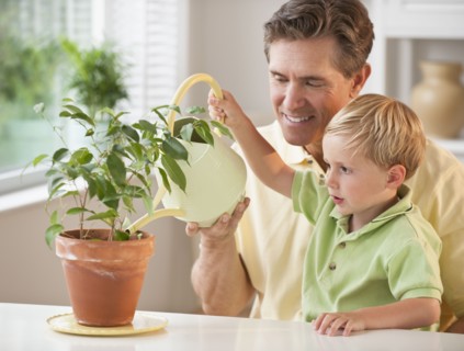 Father and child watering flowers.