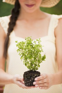 Woman gardening.