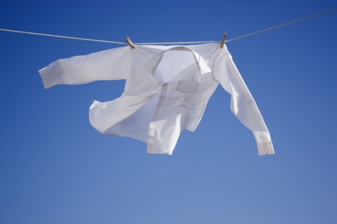 Shirt on clothes line
