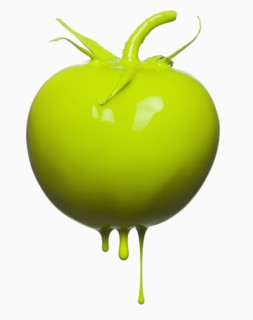 Tomatoe dripping with color