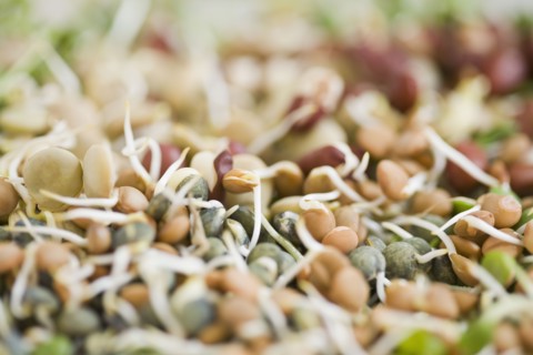 Bean sprouts