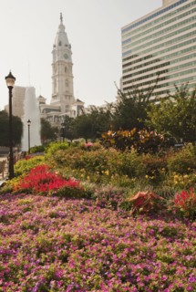 Office buildings and City Hall.