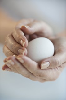 Hands holding egg.