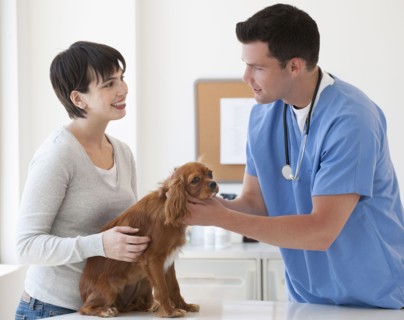 Vet and owner with dog.