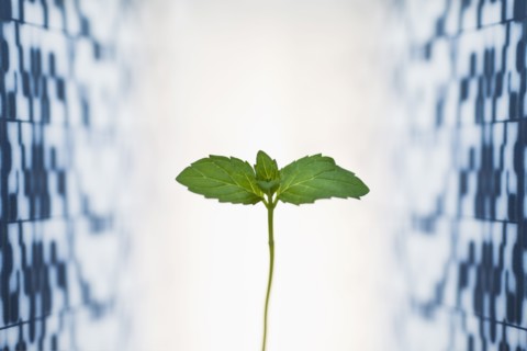 Leaf against medical background.