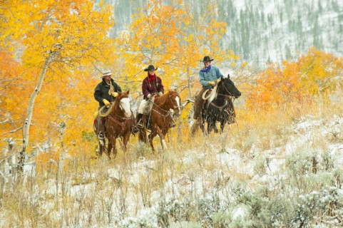 Horseback riders.