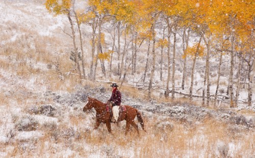 Horseback rider.