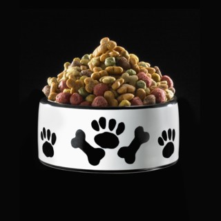 Bowl of dog food