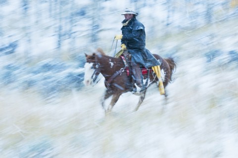 Horseback rider.