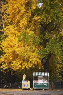 Hot dog vendor