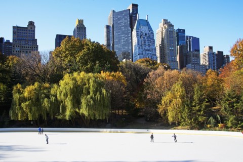 Downtown ice rink