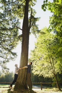 Couple hugging tree