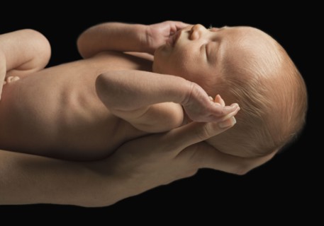 Newborn