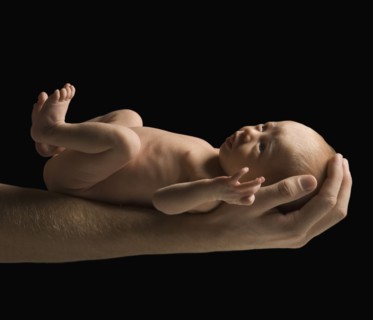 Newborn