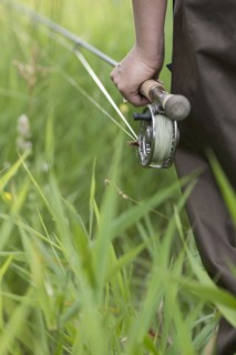 Fishing pole