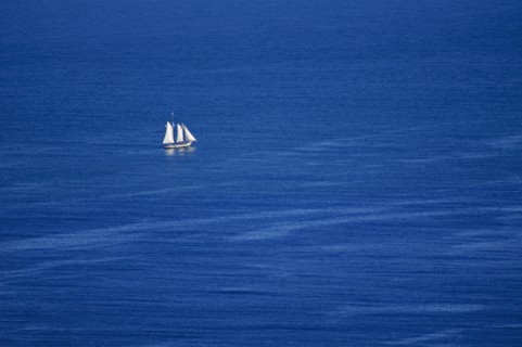 Sailboat in ocean