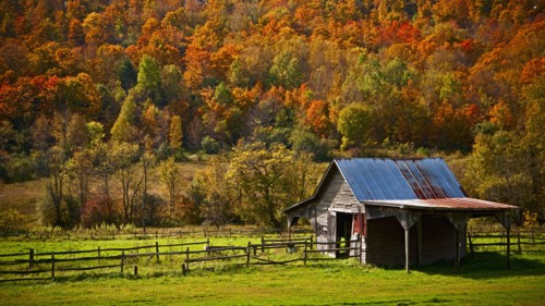 Barn in autumn