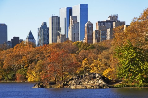 Lake and high-rise buildings