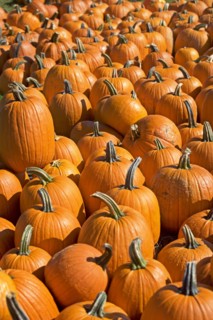 Pumpkins