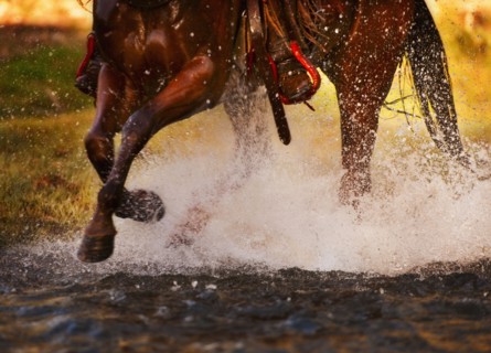 Horse running in water.