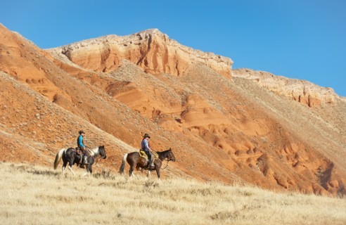 Cowboys.