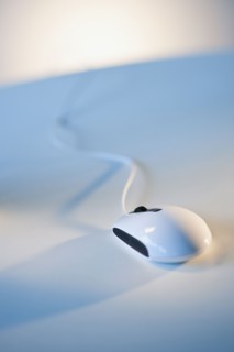 Computer mouse.