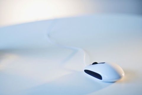 Computer mouse.