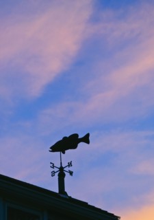Fish weathervane.