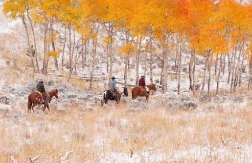 Horseback riders.