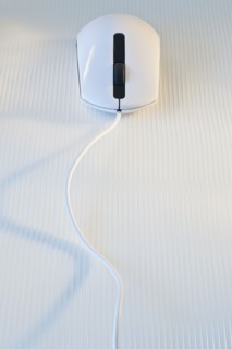 Computer mouse.